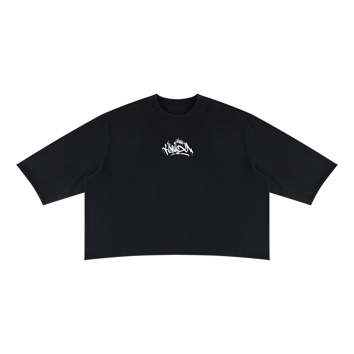 CLASSY BOXY TEE - Image 3